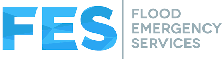 FES
